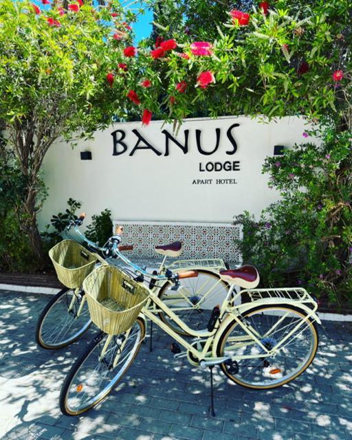 Banus Lodge Marbella Ngoại thất bức ảnh
