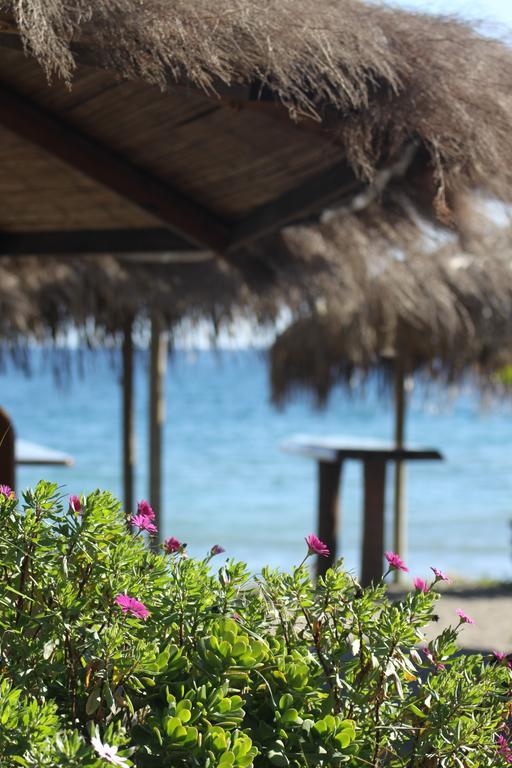 Banus Lodge Marbella Ngoại thất bức ảnh