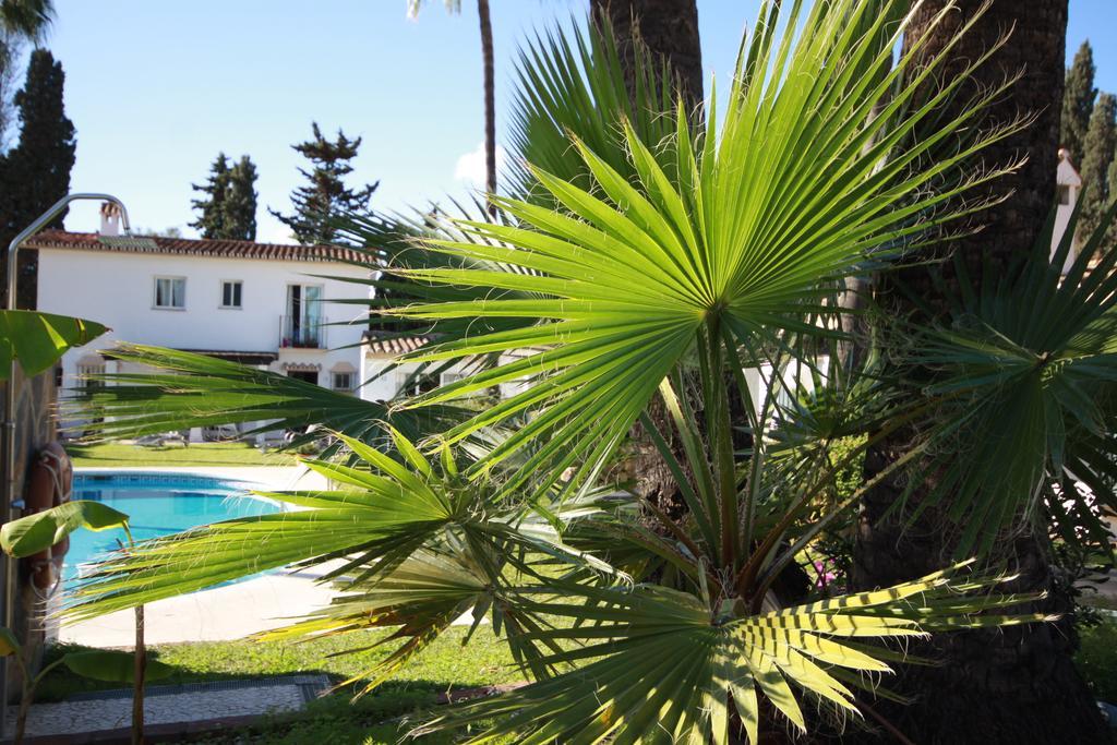 Banus Lodge Marbella Ngoại thất bức ảnh