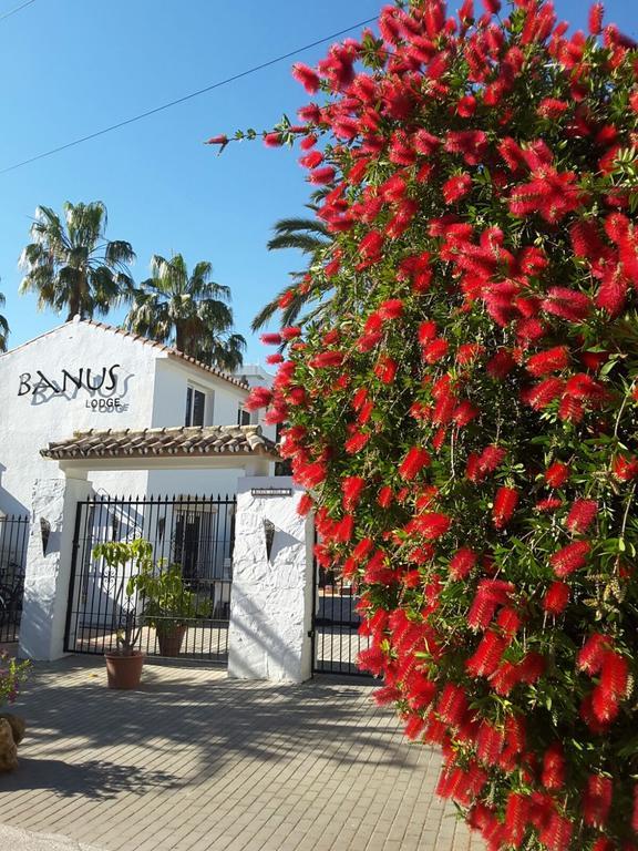 Banus Lodge Marbella Ngoại thất bức ảnh