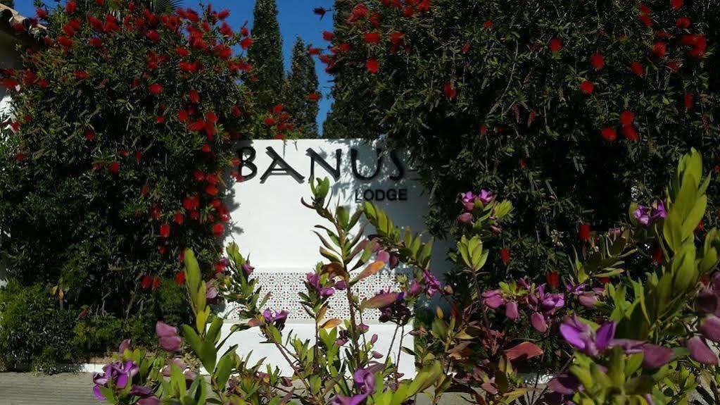 Banus Lodge Marbella Ngoại thất bức ảnh