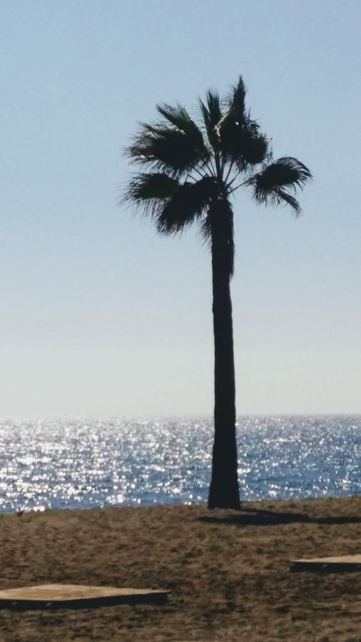 Banus Lodge Marbella Ngoại thất bức ảnh
